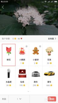 如何快速提升全民K歌粉丝量？实操攻略助你粉丝轻松破万！