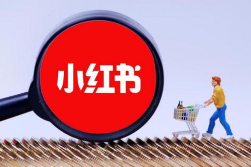 如何有效提升小红书粉丝数？可靠方法大探讨？