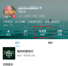 如何迅速提升酷狗音乐粉丝数？代刷服务靠谱吗？