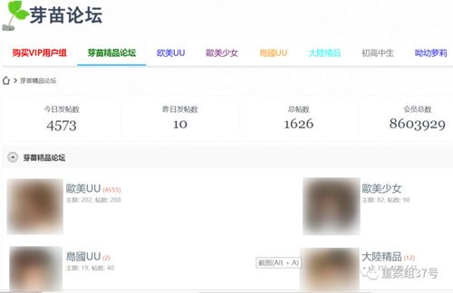 如何找到虎牙自助下单网站？有哪些便捷服务可选？