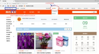 如何在小红书自助下单平台一键在线业务办理？