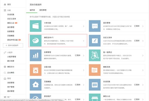 如何在各大平台高效增粉？秘诀大公开！