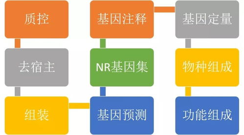 如何进行业务下单？流程与规定一探究竟