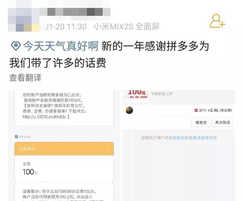 如何在拼夕夕业务下单后办理退款？DY自助下单平台怎么操作？