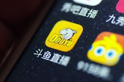 哪里能找到斗鱼业务低成本自助下单平台？dy业务优惠下单网站推荐！