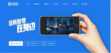 刷陌陌粉丝至七级，费用大概需要多少？