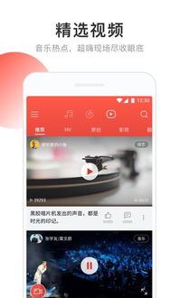 网易云VIP下单平台如何操作？月费用究竟是多少？