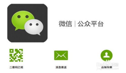 如何用手机版快速增加快手粉丝？技巧大公开！