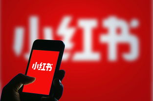 自助下单平台真的能赚吗？知乎、小红书业务实操探究