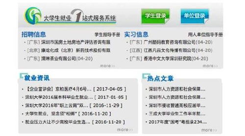 想了解官方灵枫业务下单网站？这里有什么独特之处？