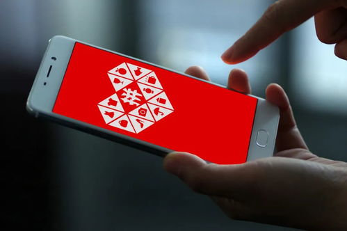 小红书自动下单平台官方版，真的能业务无忧吗？