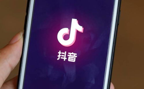 如何高效提升抖音粉丝数？蚂蚁众知带您探索捷径！