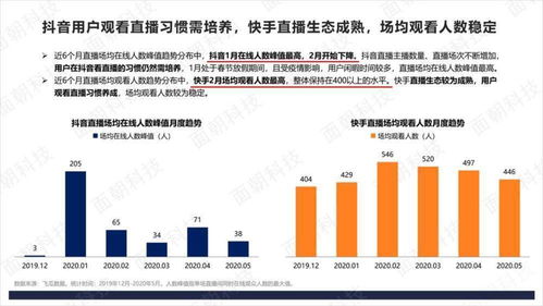 快手增粉需要投入多少成本？价格因素解析