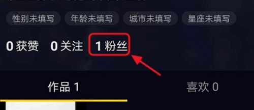 如何有效提升抖音粉丝数？靠谱的网站推荐来了！