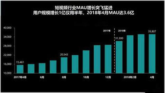 如何在抖音高效增粉？技巧与策略一览
