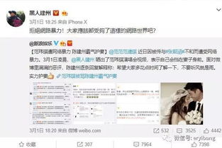 范玮琪粉丝有何独特称号？她的微博粉丝众多背后的原因何在？