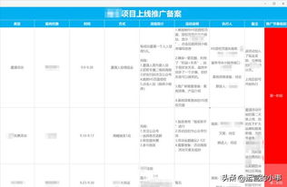 如何高效提升粉丝刷单技巧？实操攻略大公开！