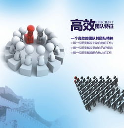 个人努力还是团队合作，哪种方式更易实现财富增长？