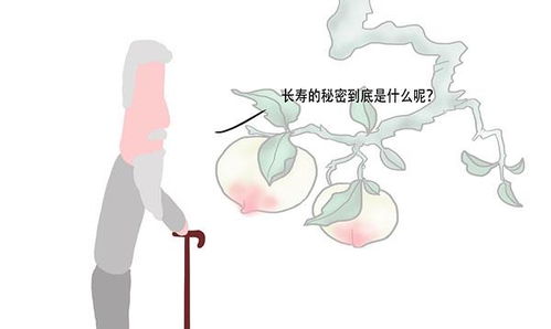 你的副业如何做到遍地开花，成功秘诀在哪里？
