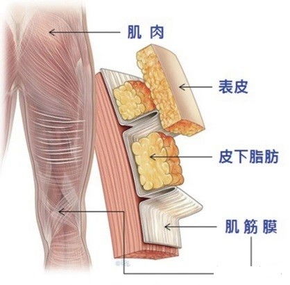 筋膜枪除了放松肌肉，还能拓展哪些副业赚钱机会？