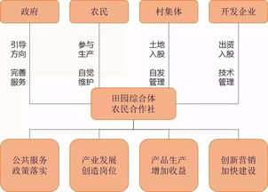 兼职管理组究竟是什么组织？它的职能和作用你知道吗？