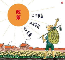 三农创作者如何实现盈利？探索领域的变现之道