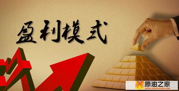 如何利用“赚钱报”实现财富增长？你真的了解其盈利模式吗？