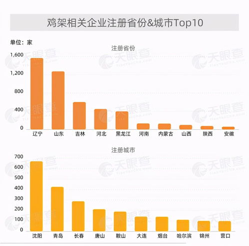 投资鸡架生意真的能赚钱吗？市场前景与盈利分析