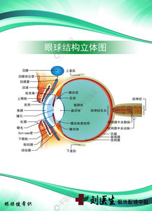 如何打造吸引眼球的农副业展板？这些创意你试过吗？