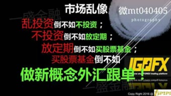 外贸与内贸，哪个更能助你实现财富增长？