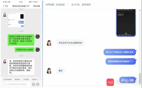 小白如何在拼多多视频平台上实现盈利？