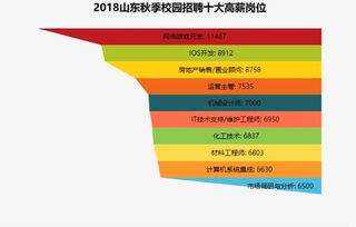 山东应届生哪个岗位最能赚钱？高薪职位大揭晓！