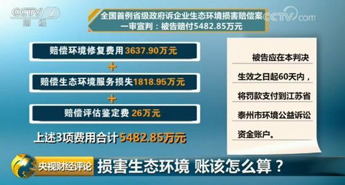 农副业会计的财务处理有哪些关键点需要注意？