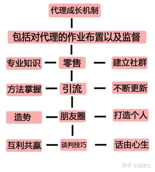 想加入拉美儿微商却不知从何入手？详解加盟流程，你了解多少？