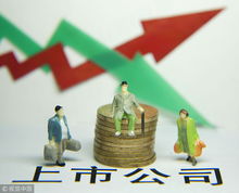 去年哪家公司成为中国最赚钱的企业？