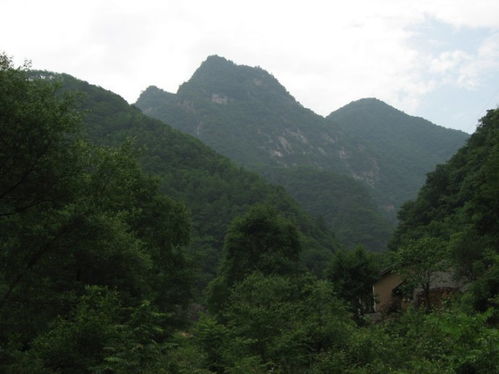 大山深处开农家乐，真的能赚到钱吗？