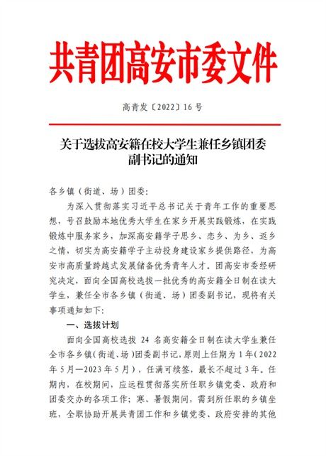 团委兼职副书记究竟肩负哪些重要职责？
