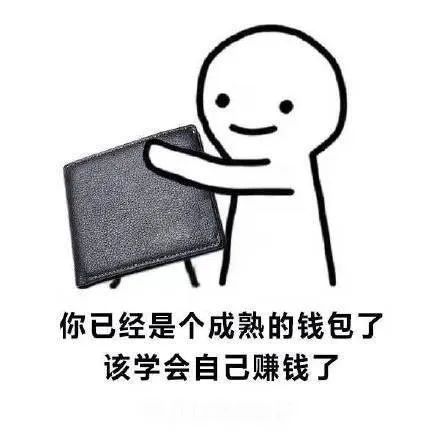 如何在家自制宠物肉干开启副业赚钱？
