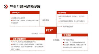 如何在网上快速且高效地实现盈利之道？