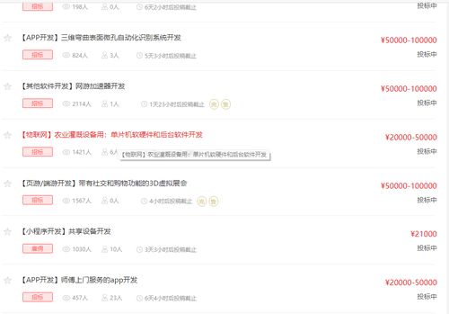 如何有效开启编程副业并成功接单？
