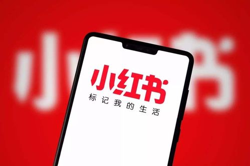 嘉嘉副业究竟是什么？如何实现月入过万？