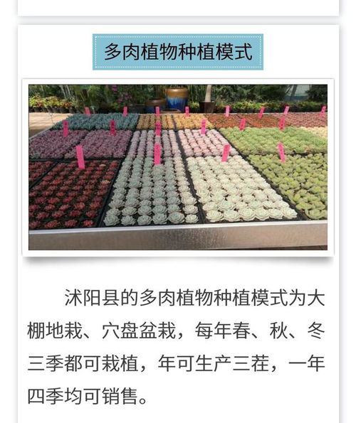 在中国种地真的能赚钱吗？农民的致富之路是怎样的？