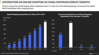 跨境电商中，哪些小吃品类最具盈利潜力？