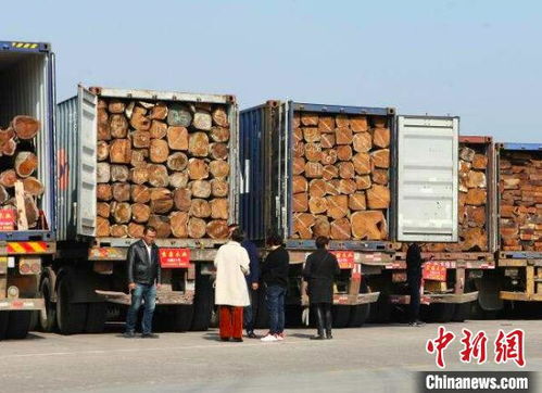 在浙江省东阳，经营木材生意能否带来丰厚利润？