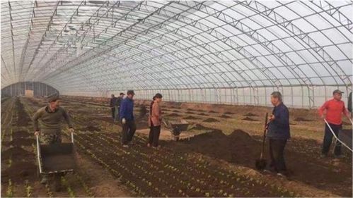 农村创业哪些项目最具盈利潜力？