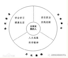 如何高效捕鱼盈利？掌握实用方法和技巧