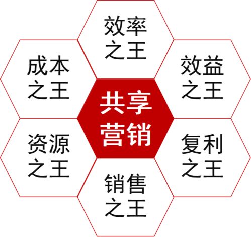 头条头如何实现高效盈利？独家策略大公开！