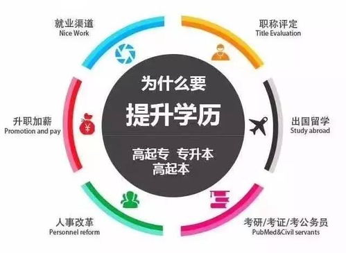 低学历打工族如何快速提升收入？有哪些高效途径？