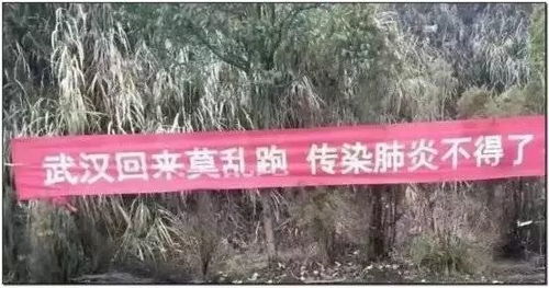 乡村视频为何如此吸金，背后有何秘诀？