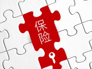 如何在家通过直播快速实现收入增长？